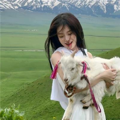 骇故事之无罪日